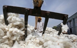 Xuất khẩu sang Trung Quốc trượt dốc mạnh, Mỹ ồ ạt đưa một mặt hàng vào Việt Nam, nước ta tiêu thụ 1,5 triệu tấn/năm