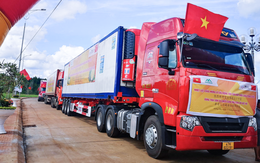 Nhiều nông sản Việt Nam được 'bật đèn xanh', liên tiếp đổ bộ Trung Quốc: Thương mại bùng nổ