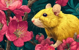 Bước sang Bính Ngọ 2026, 3 con giáp này hết khổ, 1 con giáp cẩn trọng kẻo nợ nần quấn thân