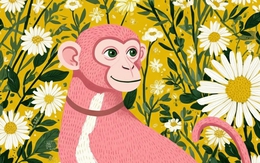 Từ mai "giẫm phải hố vàng": 3 con giáp vận trình lên hương, tình về đầy lối, tiền rót đầy kho