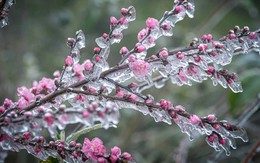 Tin không khí lạnh mới nhất: Miền Bắc tái diễn rét đậm rét hại, nguy cơ băng giá