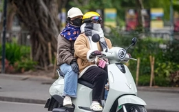 Miền Bắc rét đỉnh điểm        