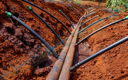 "Phát minh thế kỷ" của Israel rung chuyển thế giới, làm bùng nổ thị trường gần 10 tỷ USD