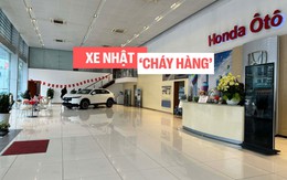 Xe Nhật 'cháy hàng' trước Tết: Người Việt mua ô tô giờ phải… xếp hàng chờ