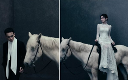 Vinpearl Horse Academy Vũ Yên của tỷ phú Phạm Nhật Vượng gây chú ý