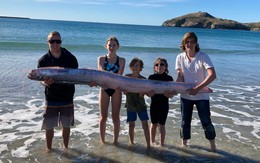 "Quái ngư" biển sâu có bộ xương dài nhất thế giới, từng ghi nhận xuất hiện tại Việt Nam