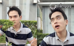 Loại rau đắng ngắt của miền Tây khiến khách Hàn vừa thử đã nghiện: "Ở Hàn Quốc không có hương vị này"