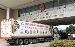 Một sản vật Việt Nam 'thắng lớn' ở Trung Quốc: Chuyên gia chỉ rõ lợi thế giúp vượt mặt Thái Lan