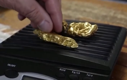 “Cơn sốt đào vàng” kiểu mới tại Australia