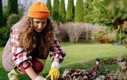 5 hành động có thể giết chết cây cối trong vườn