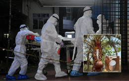 Một thức uống phổ biến trong đám cưới bị nghi là nguồn lây virus Nipah trong ca nhiễm đầu tiên tại Ấn Độ