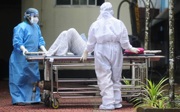 Trung Quốc lo ngại virus Nipah độc lực cao bùng phát trước Tết Nguyên đán