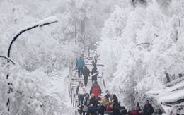 Khách Việt bị yêu cầu giấu túi nilon đi khi du lịch Trung Quốc, lý do phía sau khiến ai cũng lạnh sống lưng