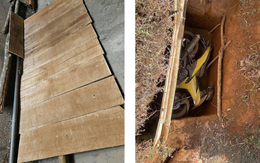 Truy tìm nguồn gốc ván gỗ trong vụ cướp ngân hàng ở Gia Lai