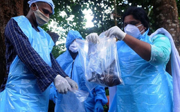 Chuyên gia cảnh báo: Virus Nipah cùng họ virus RNA với COVID-19, có thể lây truyền qua đường hô hấp