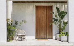 7 loại cây nên trồng trước cửa nhà vào đầu năm mới