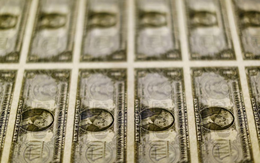 Đồng USD bị bán tháo, tụt sát đáy 4 năm sau phát ngôn của ông Trump