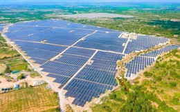 Hòa Phát đề xuất 4 dự án điện mặt trời, tổng công suất gần 500MW tại Dung Quất
