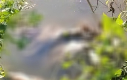 Bắt giữ nghi phạm sát hại nữ sinh cấp 2 ở Cà Mau