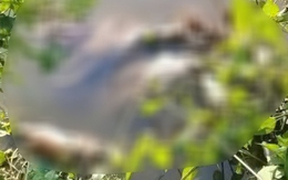 Nữ sinh Cà Mau bị sát hại: Cha mẹ đi làm xa, sống cùng ông ngoại