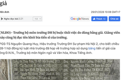 Giảng viên sư phạm dùng bằng tiến sĩ giả có thể bị xử lý hình sự