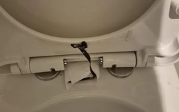 Hoảng loạn khi phát hiện camera quay lén ở bồn cầu chuỗi nhà hàng nổi tiếng
