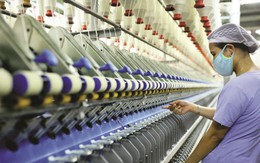 "Mỏ vàng" nào đưa Việt Nam chạm mốc gần 40 tỷ USD, khiến Mỹ chi hơn 17 tỷ USD mỗi năm?