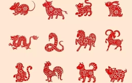 Tử vi ngày mới 7/1: 3 con giáp vận đỏ như son, tiền về chật ví, đầy ắp niềm vui