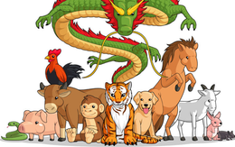 Tử vi ngày mới 6/1: 3 con giáp đại cát đại lợi, làm việc gì cũng thuận, tiền nong rủng rỉnh