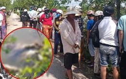 Cảnh báo nóng liên quan vụ thi thể bé gái 13 tuổi dưới đầm tôm