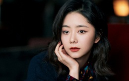 "Đàm Tùng Vận cưa sừng làm nghé mãi không biết ngượng à?"