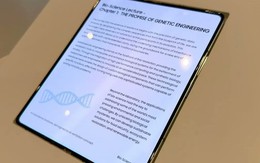 Samsung giới thiệu màn hình gập "không nếp gấp" tại CES 2026, sẽ có mặt trên Galaxy Z Fold8 hoặc iPhone Fold?