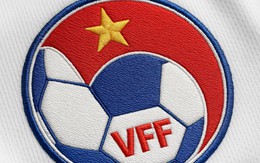 VFF phạt nặng đội bóng Việt Nam: Cấm thi đấu 5 cầu thủ vì hành vi xấu xí tại giải quốc gia