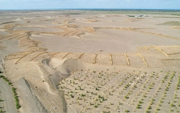 Phát minh chưa từng có trên thế giới của Trung Quốc: Không cần trồng cây vẫn phục hồi hàng nghìn hecta sa mạc, hiệu quả cao nhưng chi phí thấp
