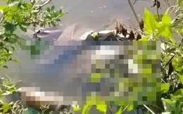 Khởi tố bị can sát hại bé gái 13 tuổi ở Cà Mau