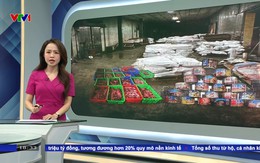 Vụ 120 tấn thịt lợn bốc mùi tập kết tại kho của Đồ hộp Hạ Long: Công an Hải Phòng chính thức khởi tố