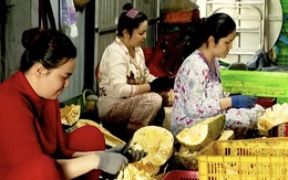 Nông dân Đồng Tháp khấm khá nhờ “biến” mít dạt thành đặc sản