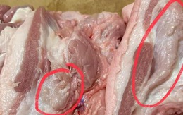 5 dấu hiệu nhận biết thịt lợn bệnh, người bán nói mấy mấy cũng dứt khoát quay xe