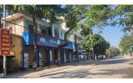 Gần 14.000 hộp pate được Công ty CP đồ hộp Hạ Long đưa "ra lò" đều từ thịt heo nhiễm bệnh