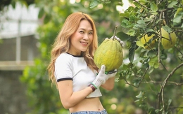 Thành quả không ngờ bên trong nhà vườn của Mỹ Tâm sau 4 năm