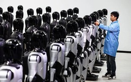 Bên trong công xưởng 10.000 m2, hàng trăm người Trung Quốc đang làm một việc mà cả thế giới không hiểu nổi