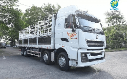 Khoản phải trả 7.100 tỷ đồng cho đối tác Trung Quốc và cách 'đại gia' bán xe tải 'Hổ vồ' thu tiền trước, trả tiền sau