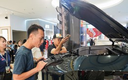 Thị trường ô tô phục hồi mạnh, xe điện hóa tăng tốc