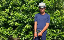 Công an Vĩnh Long bắt tạm giam đối tượng hiếp dâm cô gái trên đường đi làm về