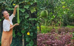 Mẹ nuôi của Phương Oanh nghỉ hưu sớm, làm nông dân ở khu vườn rộng 4.000m² ven sông Hồng