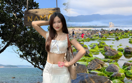 Việt Nam có loại “rau” mọc tự nhiên trên đá giá đắt hơn thịt bò, cứ tháng 10 cả làng chài 700 năm tuổi lại đổ ra biển phơi khô bán tới 3 triệu đồng/kg