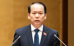 Chính phủ đề xuất cấm người có án tù treo nhận con nuôi