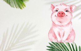 3 con giáp nhận tin vui trong ngày thứ Ba, 20/10/2026