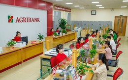 Công ty Amity (tên cũ là Công ty Nghệ Sĩ Quyền Linh) nợ ngân hàng 126 tỷ: Ngân hàng thông báo chuẩn bị đấu giá khoản nợ