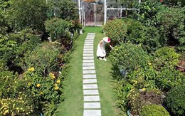 Ca sĩ Việt SN 1972 là Phó chủ tịch tập đoàn: Sở hữu cơ ngơi 10.000m² gây choáng, sống yên bình với thú vui điền viên